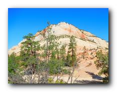 Zion NP 05.jpg